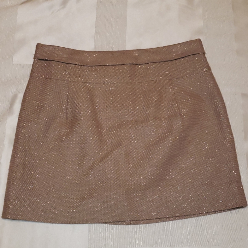 J. Crew Skirt